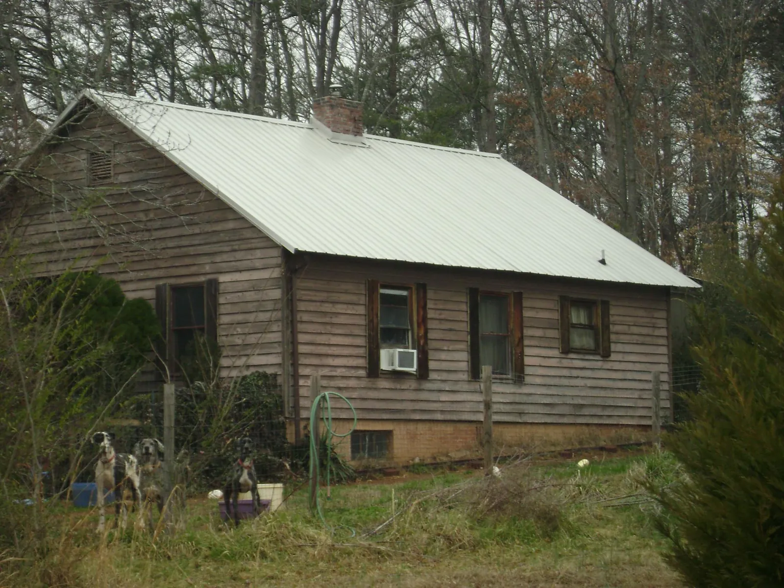 White metal roof on an old wood sided farmhouse, from a Asphalt Shingle Roof Repair job in Pomeroy